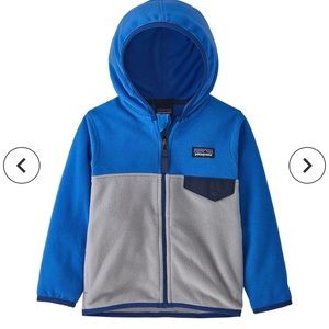 SOLD Patagonia Micro D Snap-T Fleece Jacket Toddler Boy